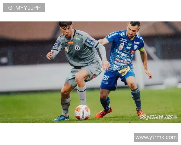 哈特堡格主场迎战林茨双方争夺联赛关键积分之战 哈特堡格主场迎战林茨双方争夺联赛关键积分之战