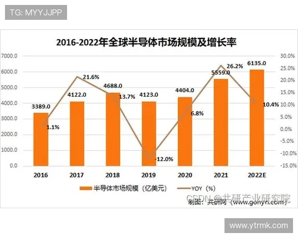 南京篮球队转型之路的挑战与机遇全景分析精英赛特别报道